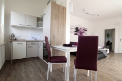 Küche, Ess- und Wohnzimmer Ferienwohnung Krabbe